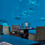 Dining at Ocean Restaurant RWS with sweeping views of tropical fish and clear blue waters.