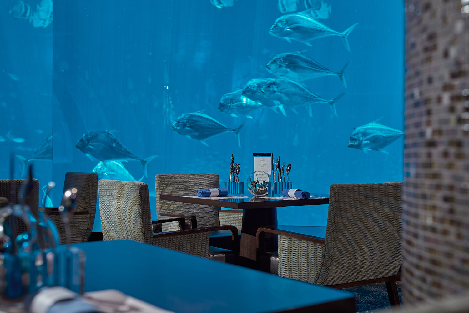 Dining at Ocean Restaurant RWS with sweeping views of tropical fish and clear blue waters.