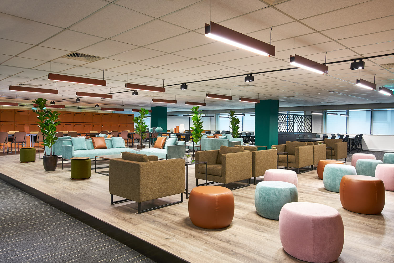 Natural light, soft seating, and greenery add warmth to the professional setting.